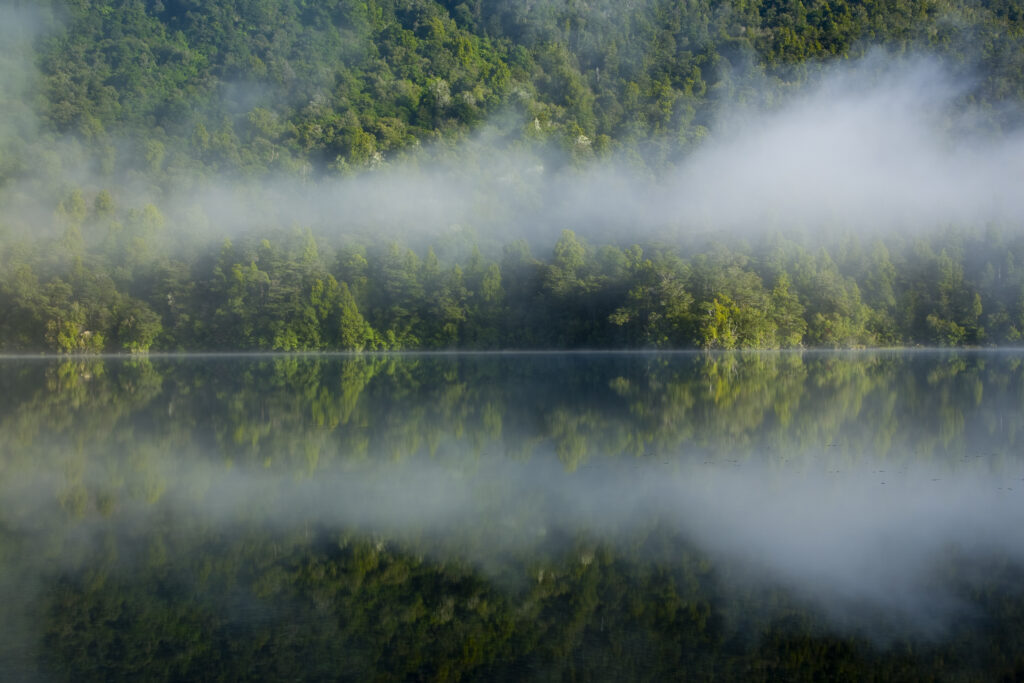 New Zealand, Southland, Fiordland National Park. Autumn mist clears from Lake Alabaster, on the Hollyford Track, revealing native woodland.