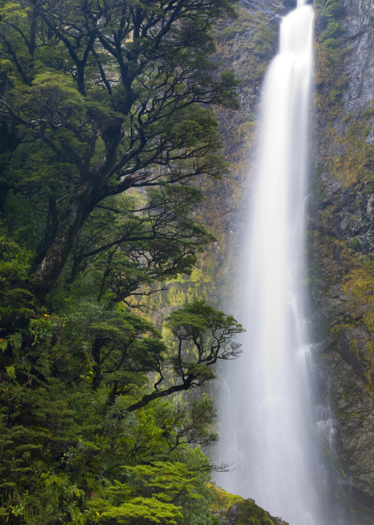 New Zealand, Canterbury, Arthur's Pass National Park. Native bush and the Devils Punchbowl Waterfall.