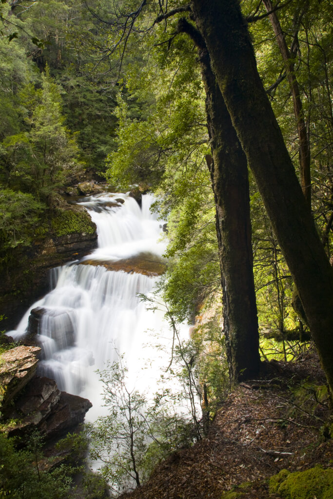 Australia, Tasmania, Cradle Mt - Lake St Clair National Park. D'alton Falls on the Overland Track