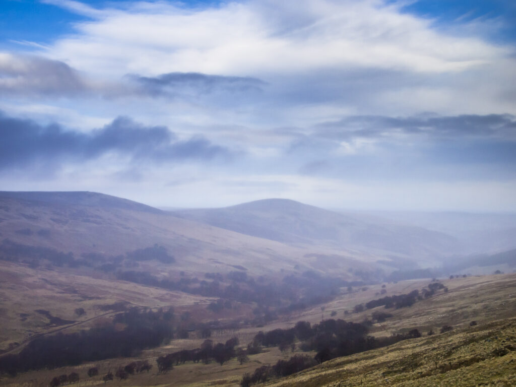 England, Northumberland, Northumberland National Park. Looking across the Harthope Valley towards the Cheviot, from the upper slopes of the Cheviot Hills.
