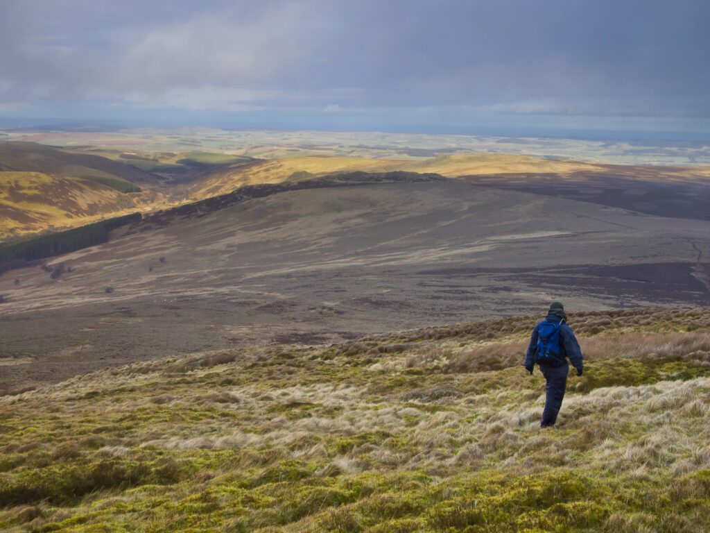 England, Northumberland, Northumberland National Park. Hiker walking down towards the Harthope Valley, from the upper slopes of the Cheviot Hills.