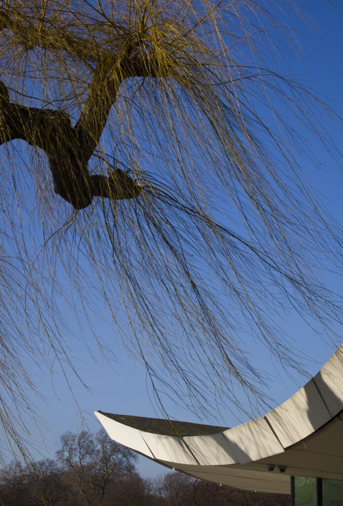 England, London, Hyde Park. Willow and Cafe in Hyde Park, a popular green space near the city center of London.