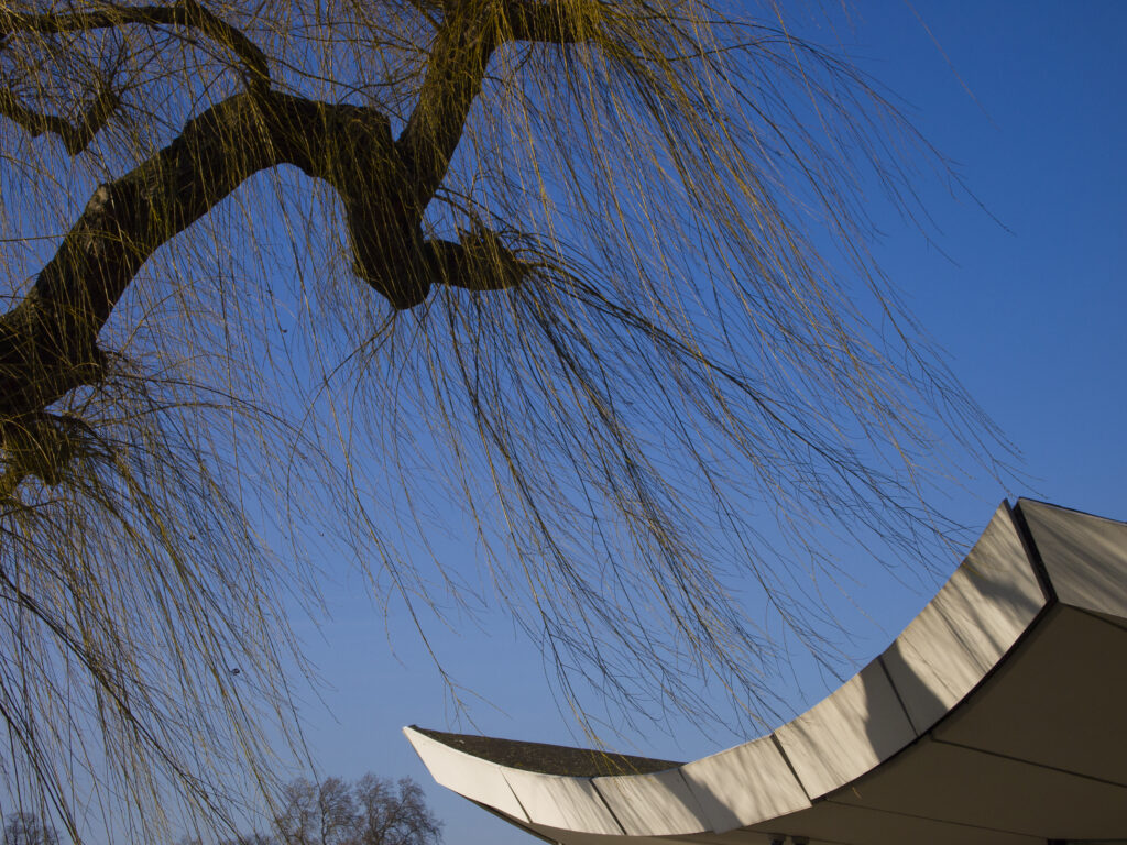 England, London, Hyde Park. Willow and Cafe in Hyde Park, a popular green space near the city center of London.