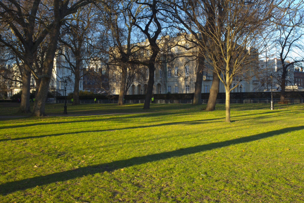 England, London, Green Park. Late afternoon light illuminates Green Park during the spring months.