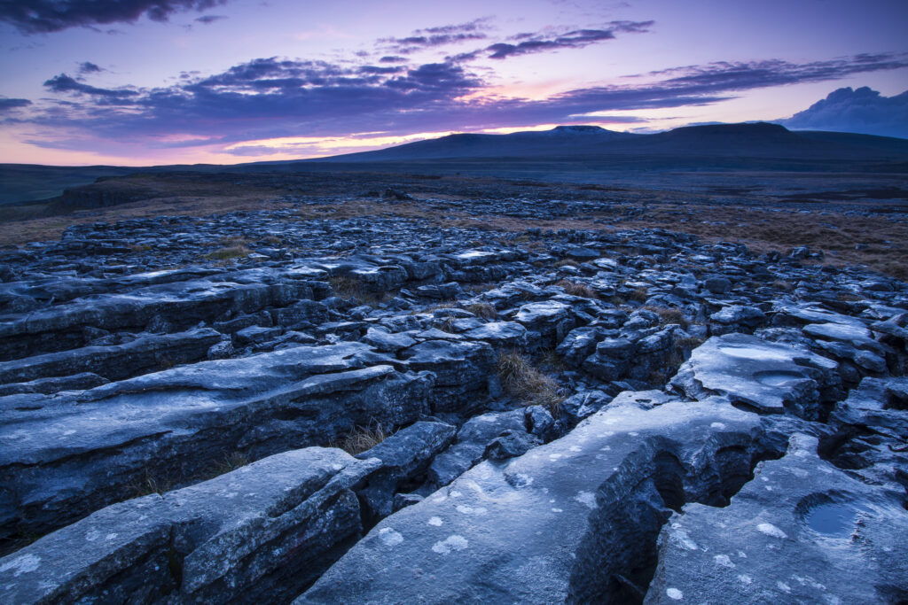 England, North Yorkshire, Yorkshire Dales National Park. Limestone pavement known as Moughton Scars, near the small village of Horton in Ribblesdale, with the peaks of Ingleborough in the distance.