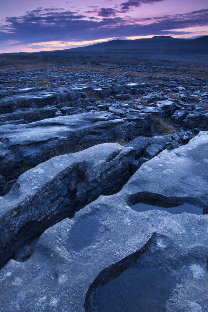 England, North Yorkshire, Yorkshire Dales National Park. Limestone pavement known as Moughton Scars, near the small village of Horton in Ribblesdale, with the peaks of Ingleborough in the distance.