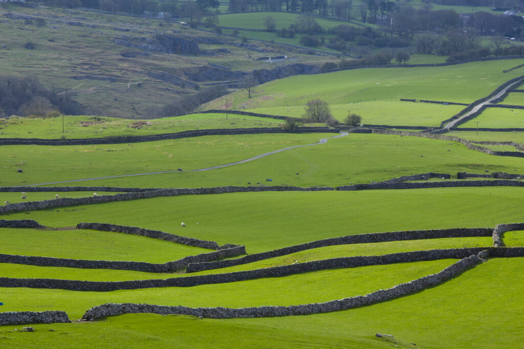 England, North Yorkshire, Yorkshire Dales National Park. Looking down on traditional dry-stone walls and fields which are a typical feature of the Yorkshire Dales near Ingleton.