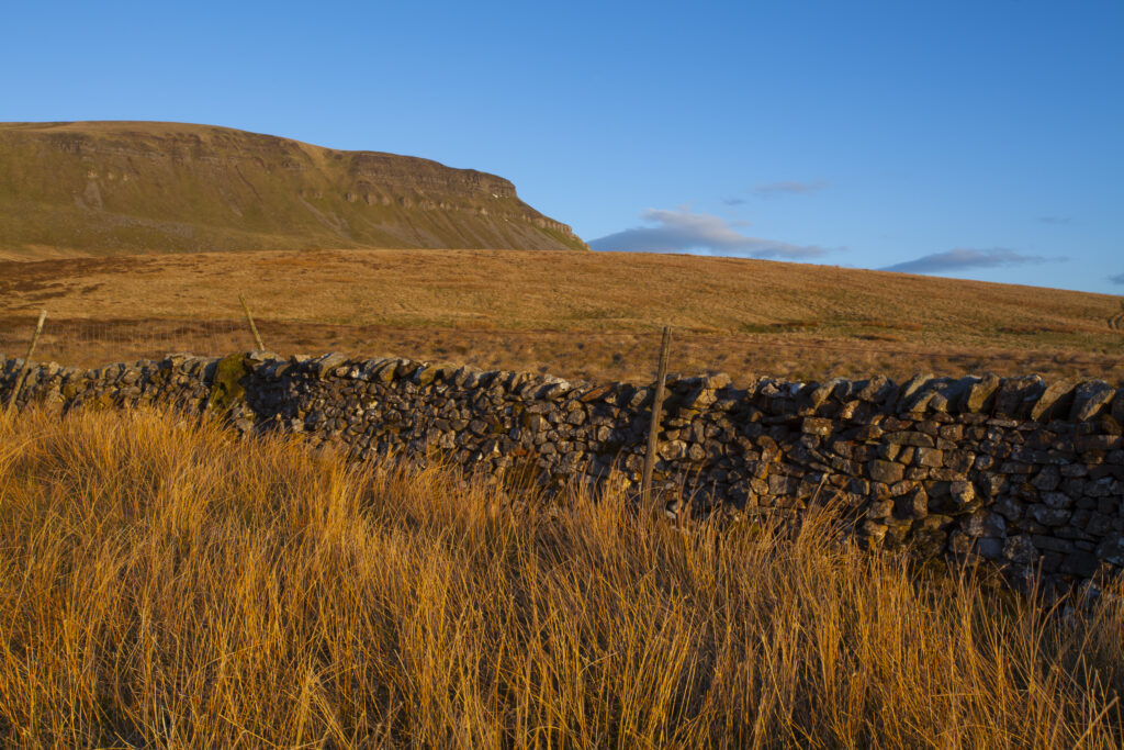 England, North Yorkshire, Yorkshire Dales National Park. Last light on Horton Moor in the Pennines, with the distinctive peak of Pen-y-ghent in the distance.