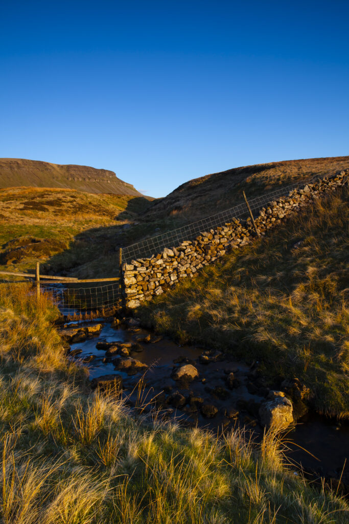 England, North Yorkshire, Yorkshire Dales National Park. Last light on Horton Moor in the Pennines, with the distinctive peak of Pen-y-ghent in the distance.