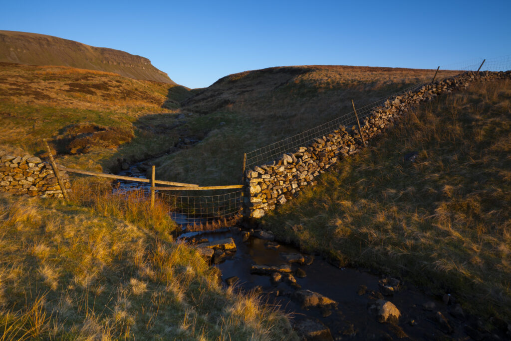 England, North Yorkshire, Yorkshire Dales National Park. Last light on Horton Moor in the Pennines, with the distinctive peak of Pen-y-ghent in the distance.