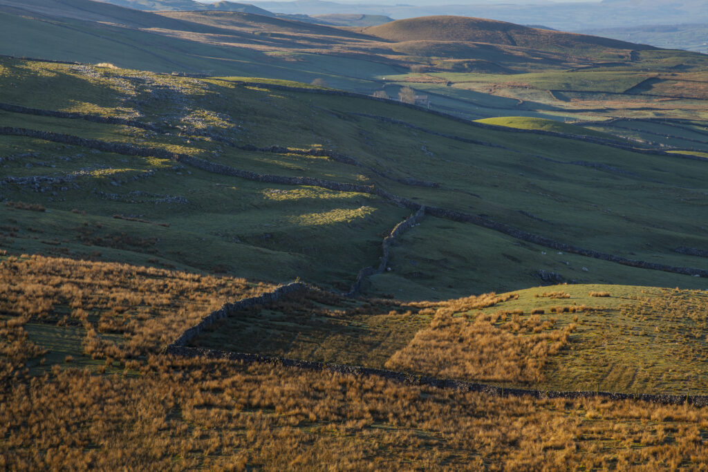 England, North Yorkshire, Yorkshire Dales National Park. Early morning light on fields, moorland and dry stone walls in Ribblesdale.