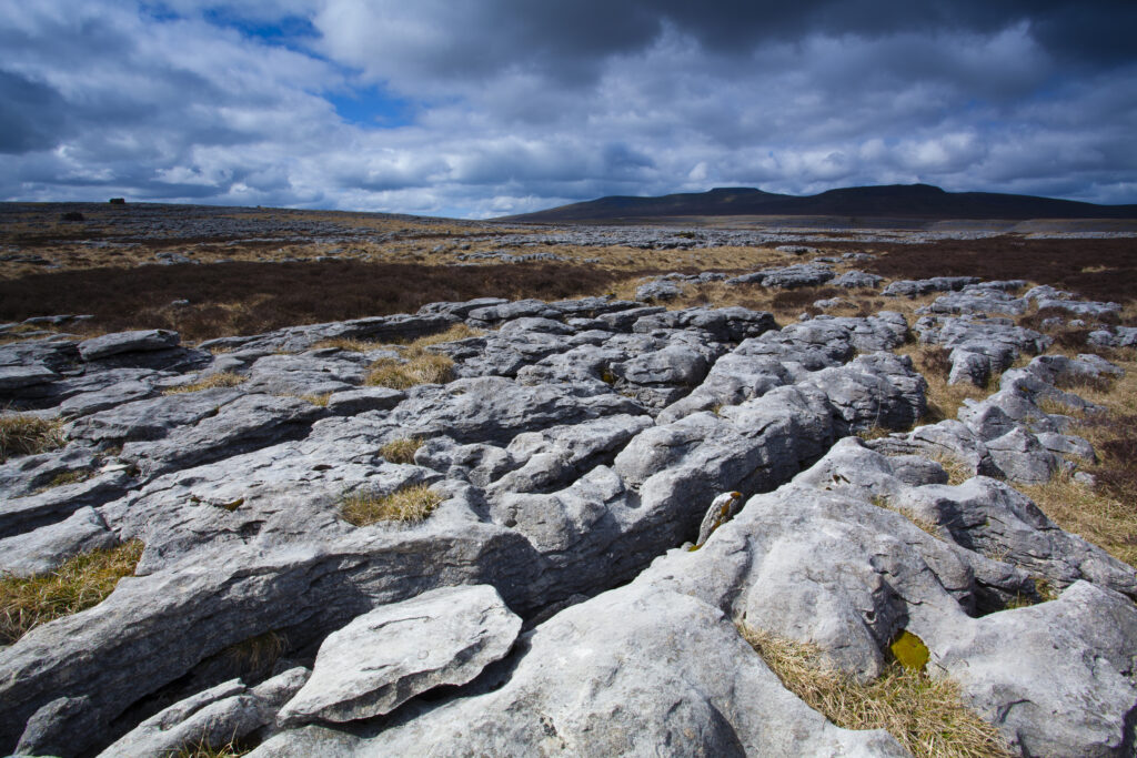England, North Yorkshire, Yorkshire Dales National Park. Limestone pavement known as Moughton Scars, near the small village of Horton in Ribblesdale, with the peaks of Ingleborough in the distance.