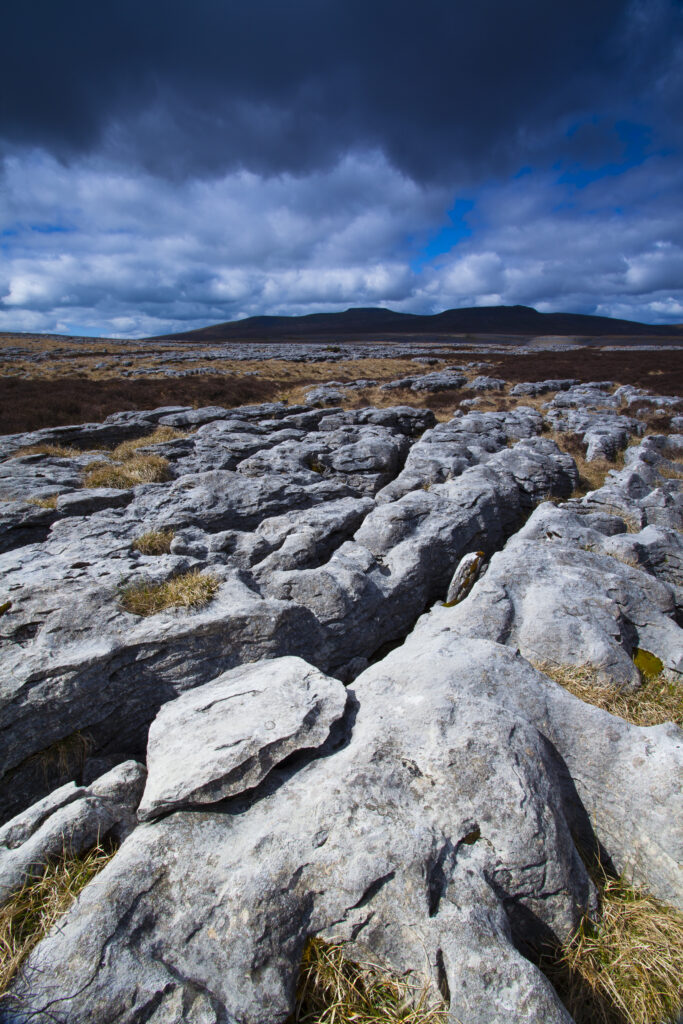 England, North Yorkshire, Yorkshire Dales National Park. Limestone pavement known as Moughton Scars, near the small village of Horton in Ribblesdale, with the peaks of Ingleborough in the distance.