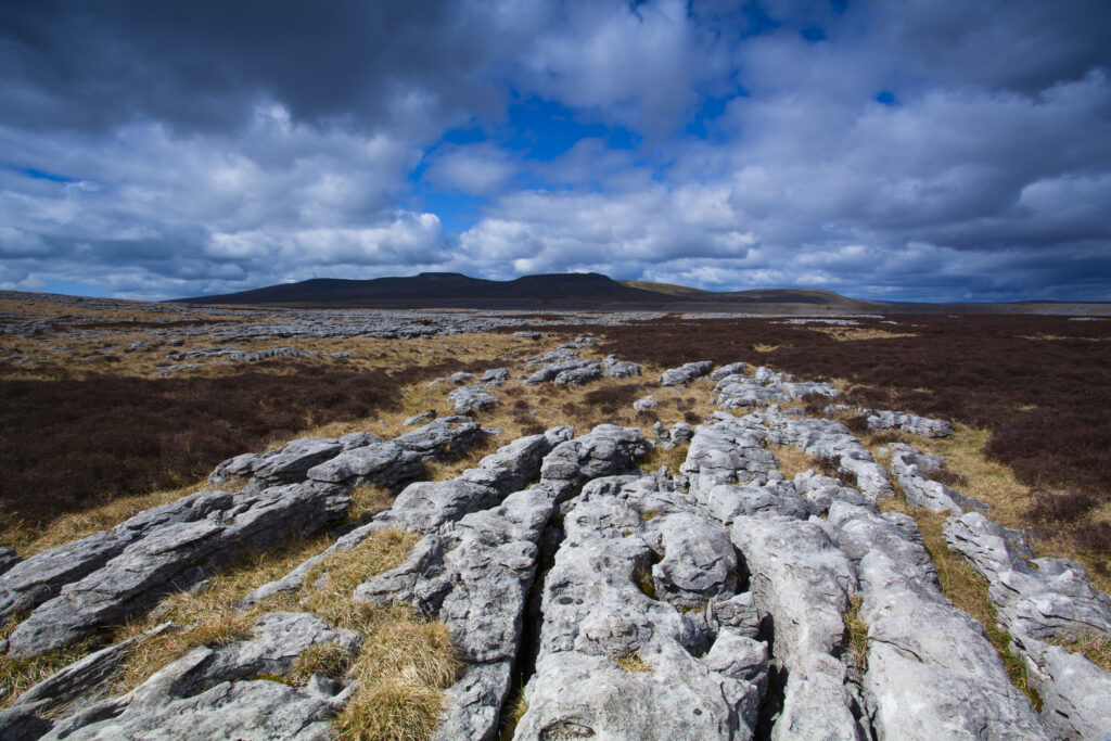 England, North Yorkshire, Yorkshire Dales National Park. Limestone pavement known as Moughton Scars, near the small village of Horton in Ribblesdale, with the peaks of Ingleborough in the distance.