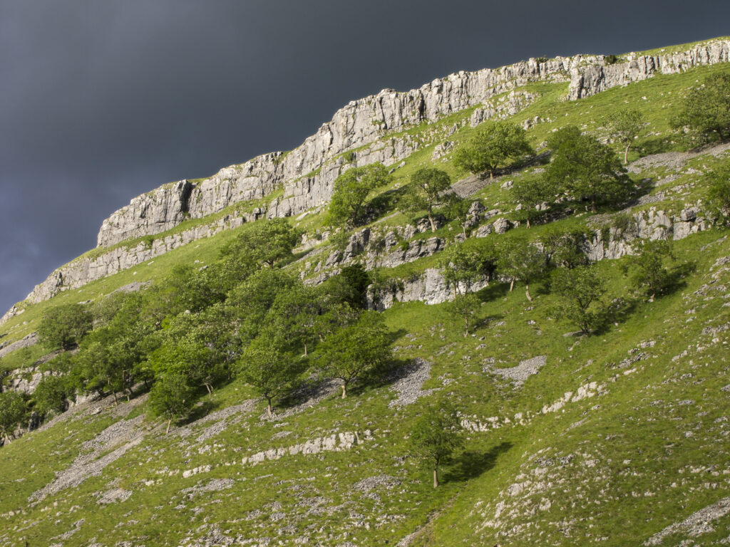 England, North Yorkshire, Yorkshire Dales National Park. Gordale Scar, a limestone ravine near Malham Cove in the Yorkshire Dales National Park