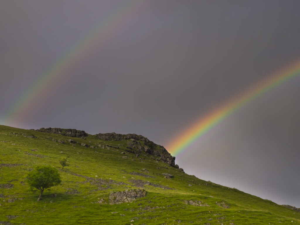 England, North Yorkshire, Yorkshire Dales National Park. Gordale Scar, a limestone ravine near Malham Cove in the Yorkshire Dales National Park