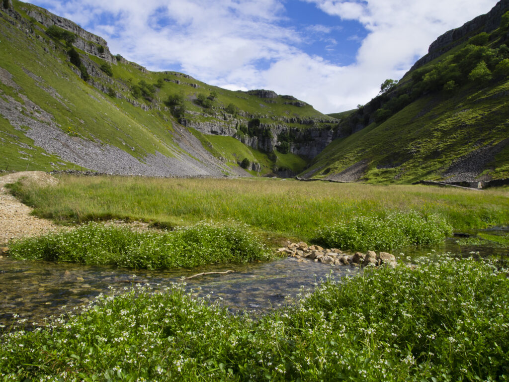 England, North Yorkshire, Yorkshire Dales National Park. Gordale Scar, a limestone ravine near Malham Cove in the Yorkshire Dales National Park