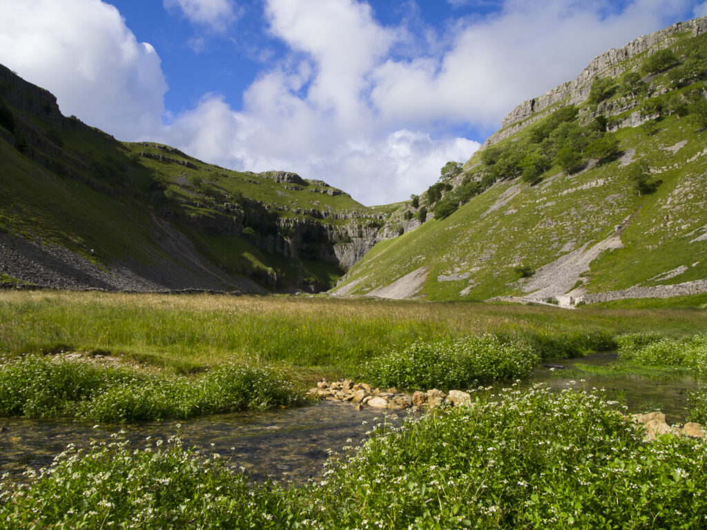 England, North Yorkshire, Yorkshire Dales National Park. Gordale Scar, a limestone ravine near Malham Cove in the Yorkshire Dales National Park