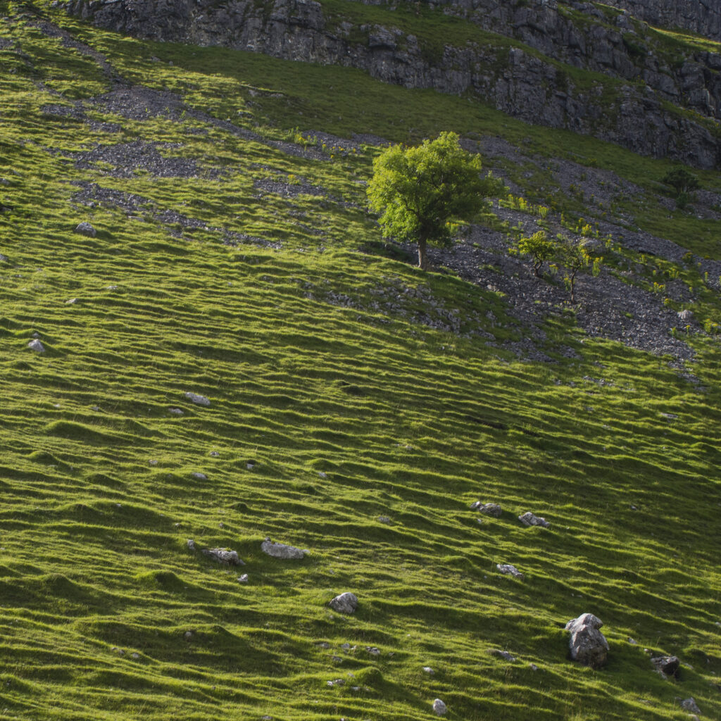 England, North Yorkshire, Yorkshire Dales National Park. Gordale Scar, a limestone ravine near Malham Cove in the Yorkshire Dales National Park