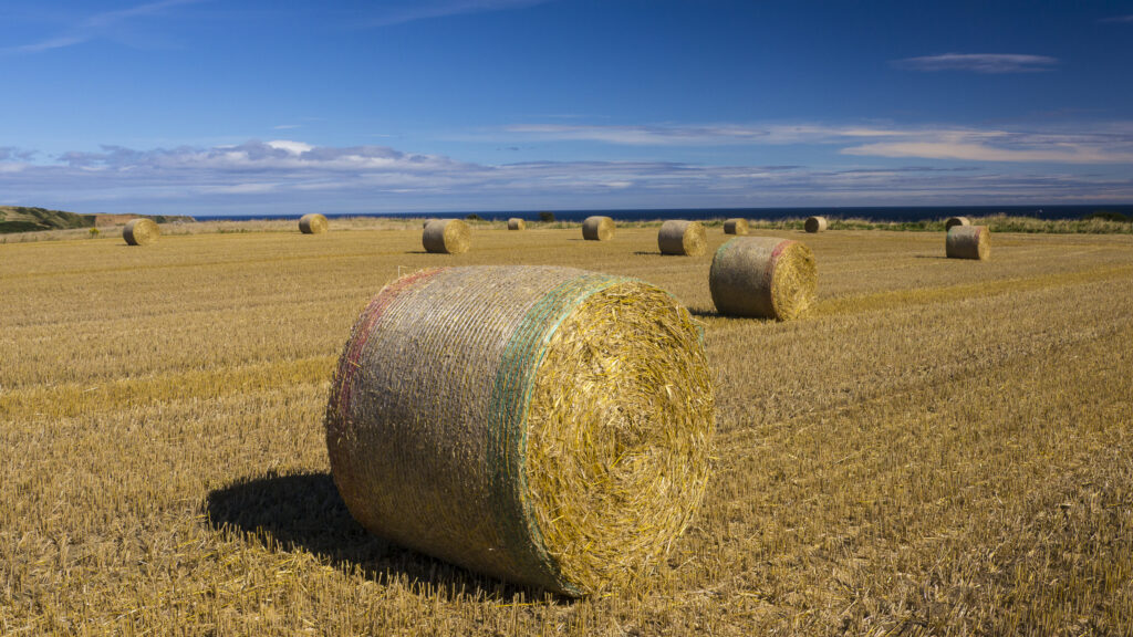 England, North Yorkshire, Scarborough. Hay bales in a field in North Yorkshire.