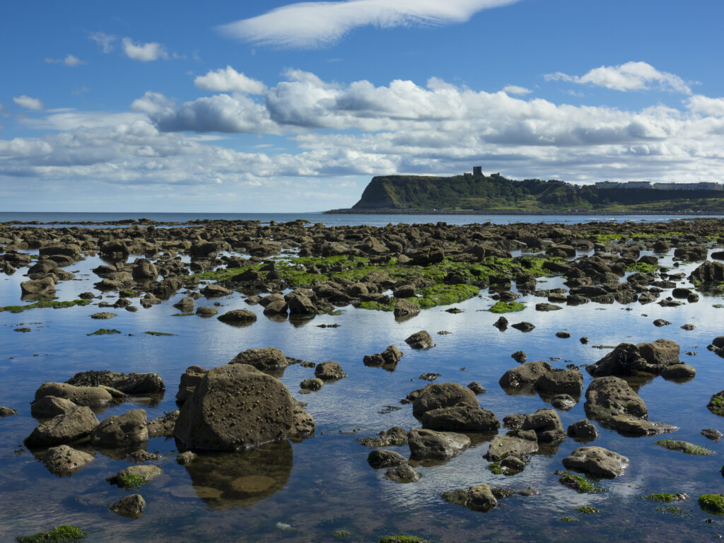 England, North Yorkshire, Scarborough. Scarborough North Bay at low tide, with Scarborough Castle in the distance.