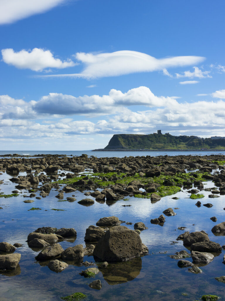 England, North Yorkshire, Scarborough. Scarborough North Bay at low tide, with Scarborough Castle in the distance.