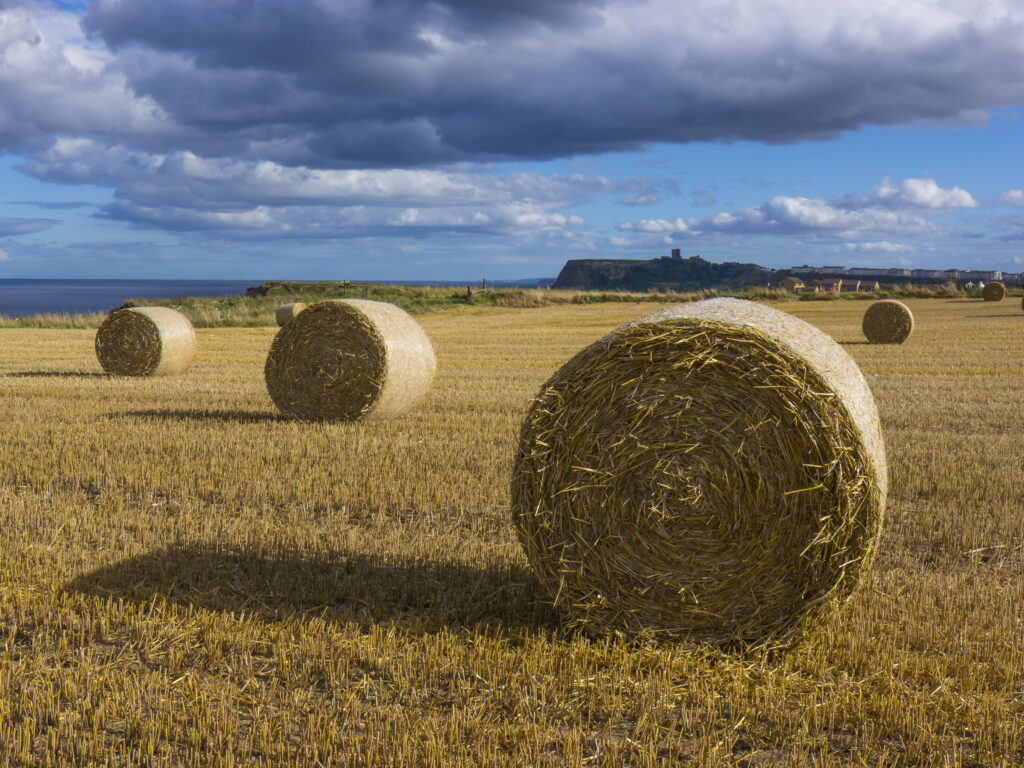 England, North Yorkshire, Scarborough. Hay bales in a field in North Yorkshire.