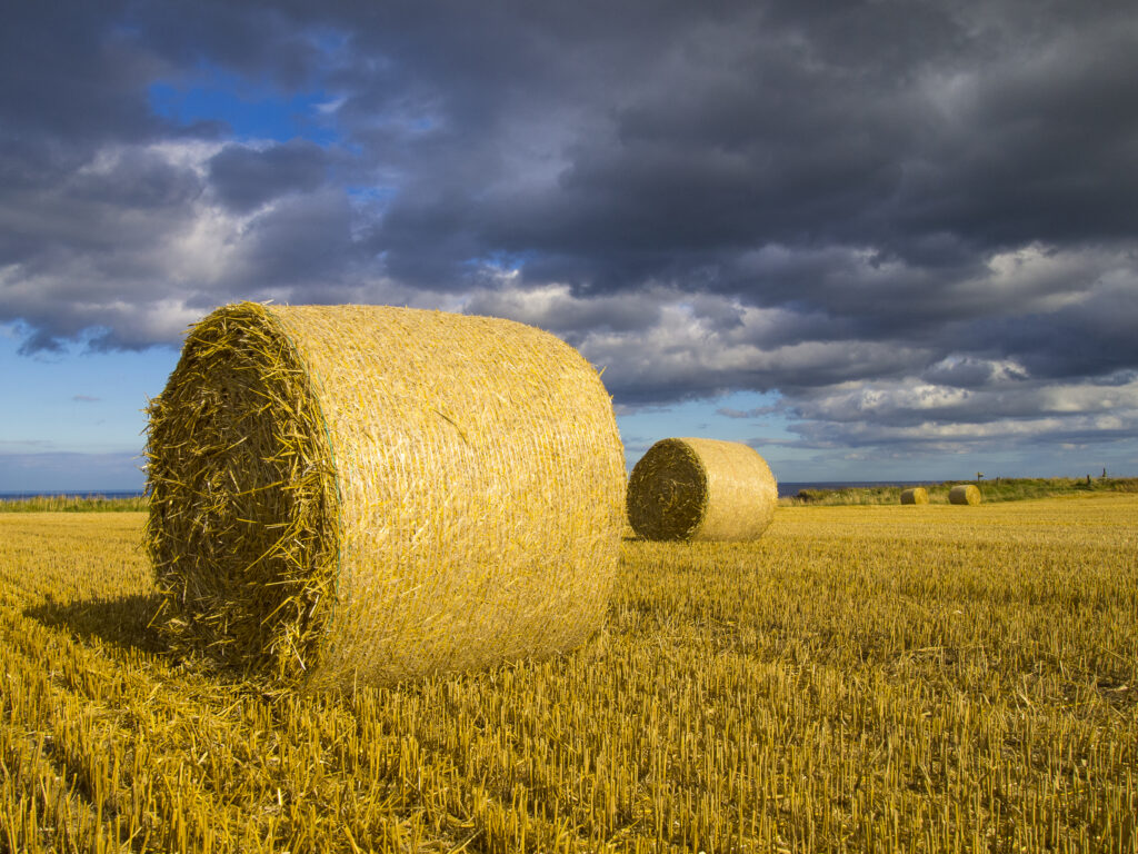 England, North Yorkshire, Scarborough. Hay bales in a field in North Yorkshire.