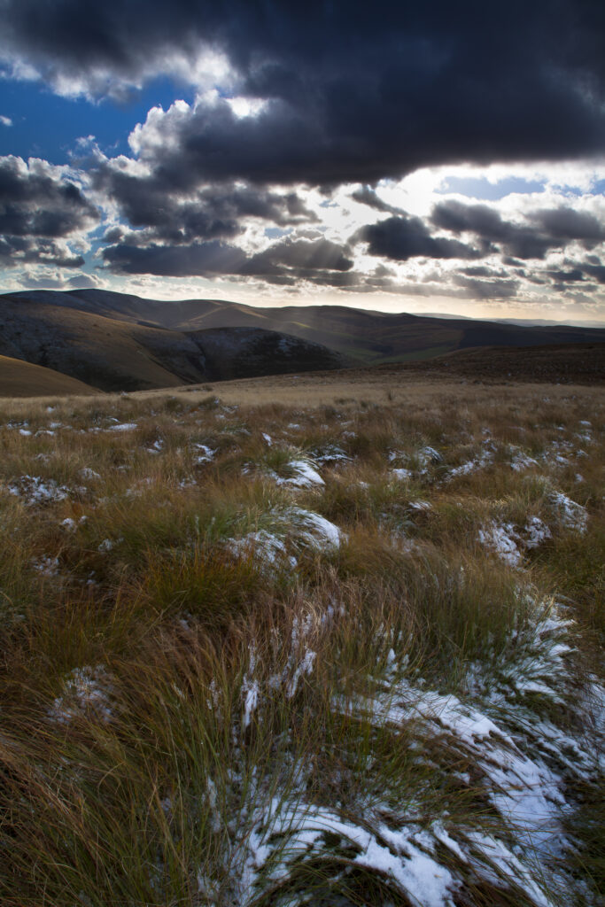 England, Northumberland, Northumberland National Park. The Cheviot Hills near Auchope Rig, looking towards the Scottish Uplands.