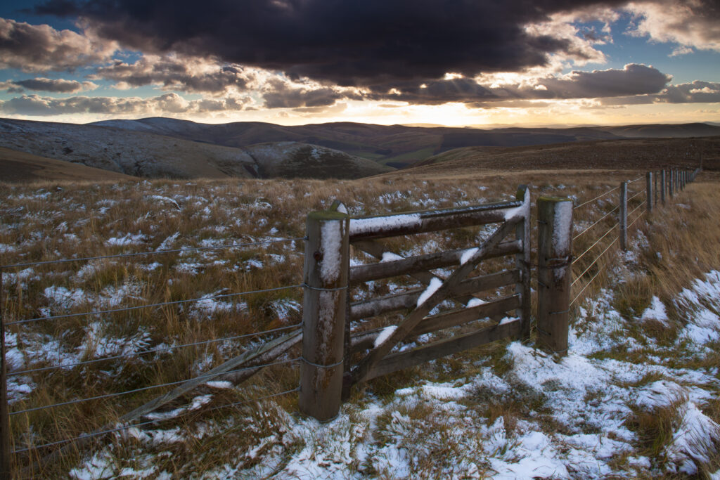 England, Northumberland, Northumberland National Park. The Cheviot Hills near Auchope Rig, looking towards the Scottish Uplands.