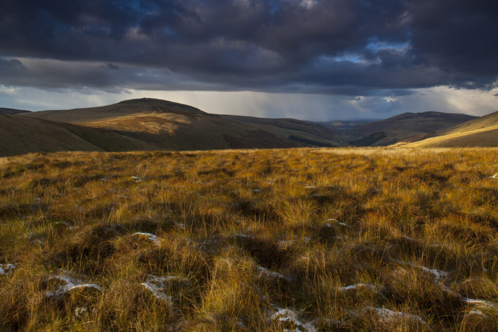 England, Northumberland, Northumberland National Park. Last light near Auchope Rig, looking towards the Scottish Uplands.