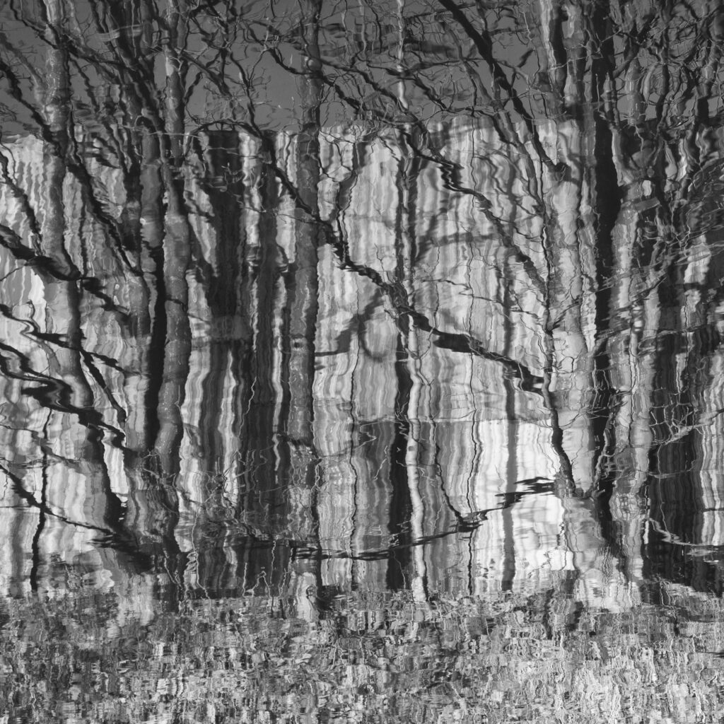 England, West Midlands, Stourbridge Canal. Trees and fence reflected in the Stourbridge Canal near Brierley Hill in the Black Country.