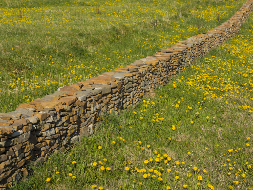 Scotland, Orkney Islands, Mainland Orkney. Traditional Dry-Stone wall in the Birsay parish, a small settlement on the west coast of mainland Orkney.