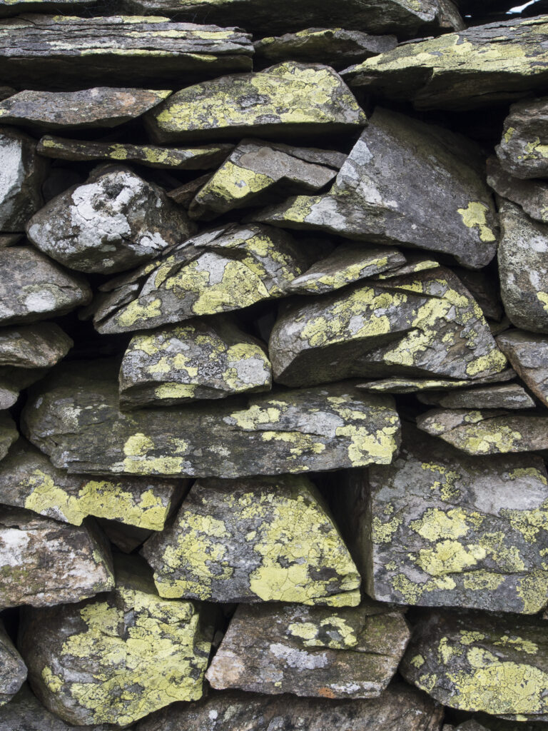 England, Cumbria, Lake District National Park. Traditional dry-stoned wall near Ambleside.