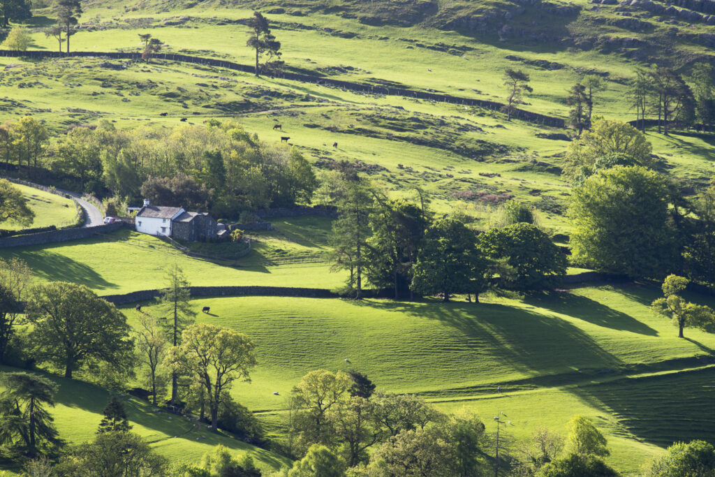 England, Cumbria, Lake District National Park. Rolling countryside near the small village of Troutbeck above Lake Windermere.