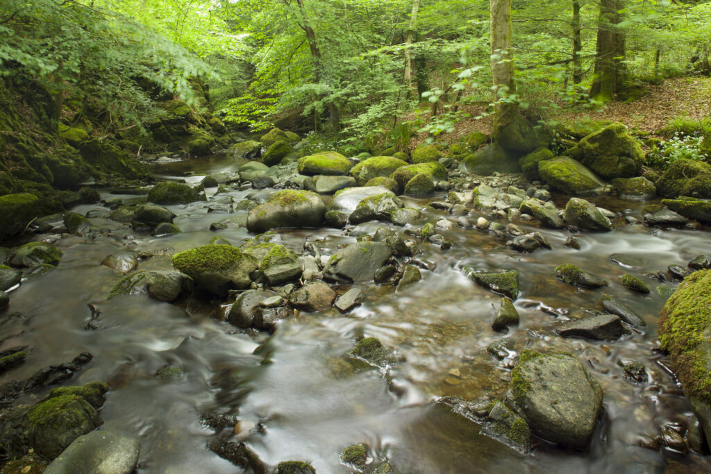 England, Cumbria, Lake District National Park. Down stream of Stock Ghyll Force near Ambleside.