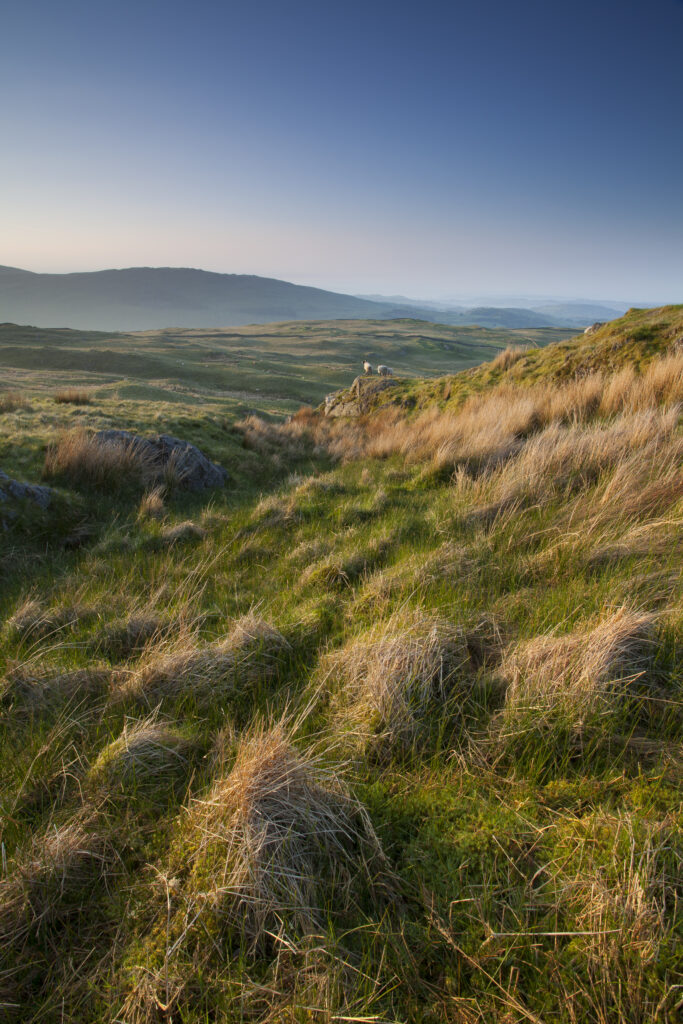 England, Cumbria, Lake District National Park. Moorland on Wansfell, part of Caudale Moor.