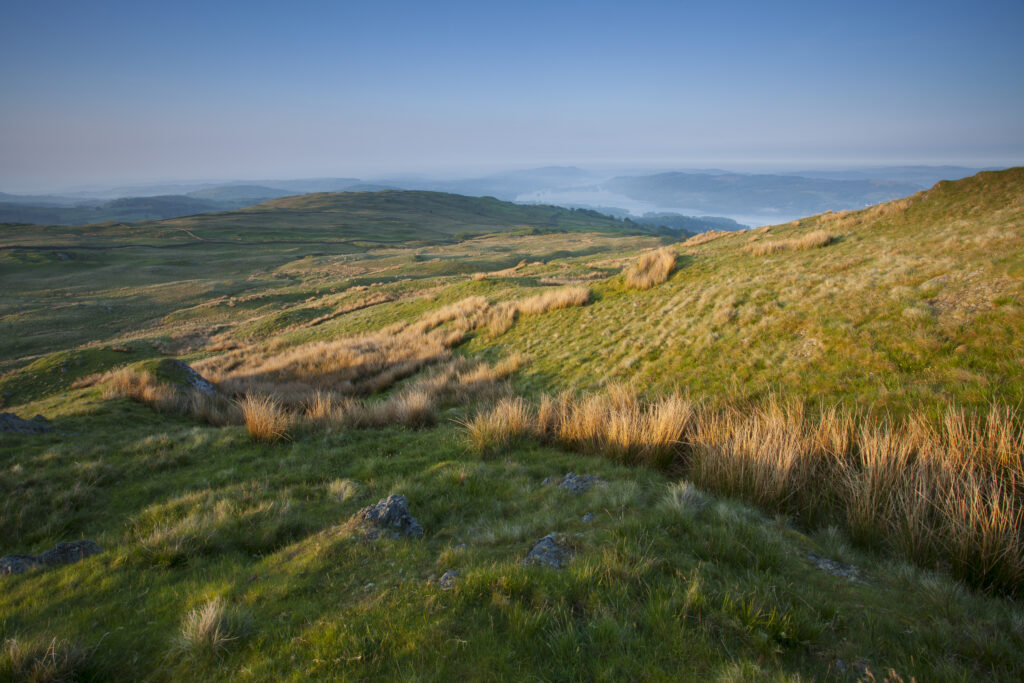 England, Cumbria, Lake District National Park. Moorland on Wansfell, part of Caudale Moor.