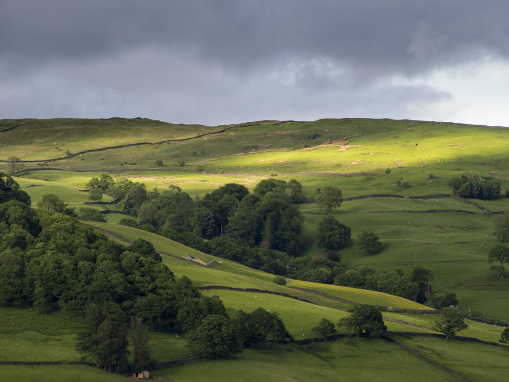 England, Cumbria, Lake District National Park. Fleeting light on farm fields near Ambleside.