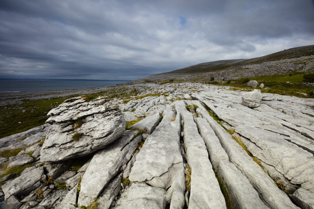 Republic of Ireland, County Clare, The Burren at Black Head. Grike and Clint in the limestone karst-landscape of The Burren near Galway Bay.
