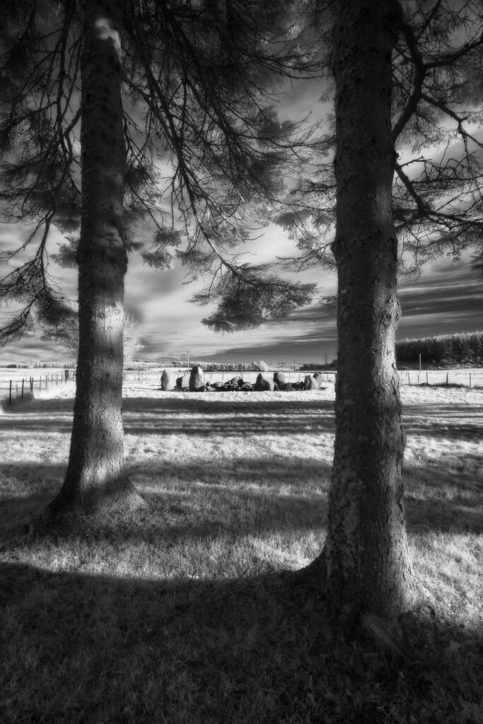 Cullerie Stone Circle, Aberdeenshire, Scotland. This image was photographed for the Legacy project, a fascinating not-for-profit endeavour to capture the mystifying stone remains of prehistoric sites scattered across the British Isles. Please visit www.thelegacyproject.org.uk for more information.