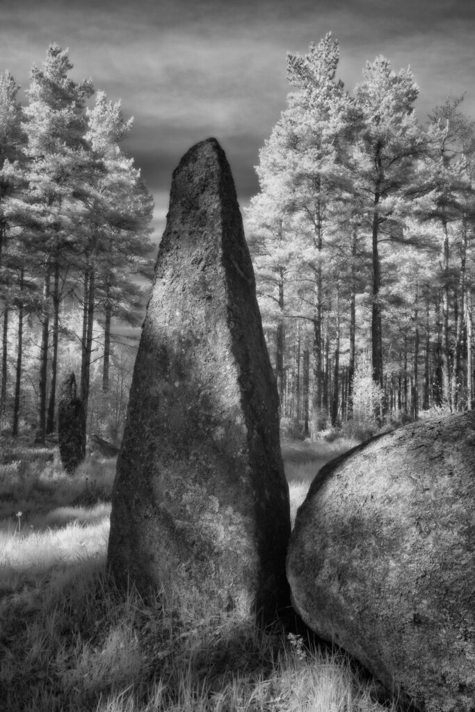 Cothiemuir Wood Stone Circle, Aberdeenshire, Scotland. This image was photographed for the Legacy project, a fascinating not-for-profit endeavour to capture the mystifying stone remains of prehistoric sites scattered across the British Isles. Please visit www.thelegacyproject.org.uk for more information.
