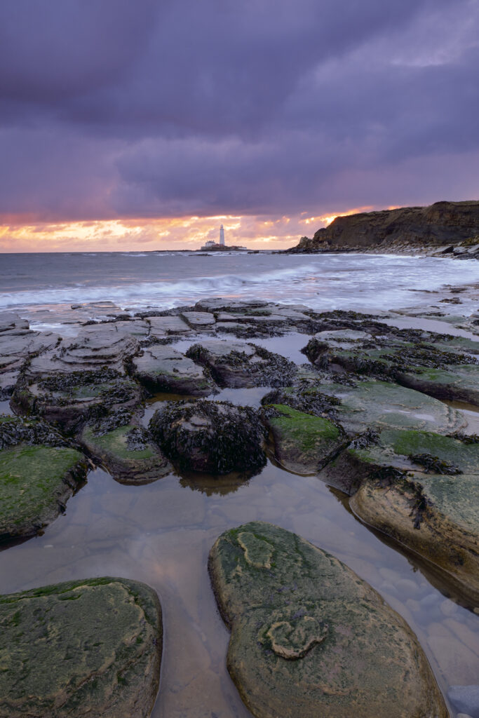 England, Northumberland, Old Hartley. Old Hartley Bay at dawn, looking towards St Mary's Lighthouse.