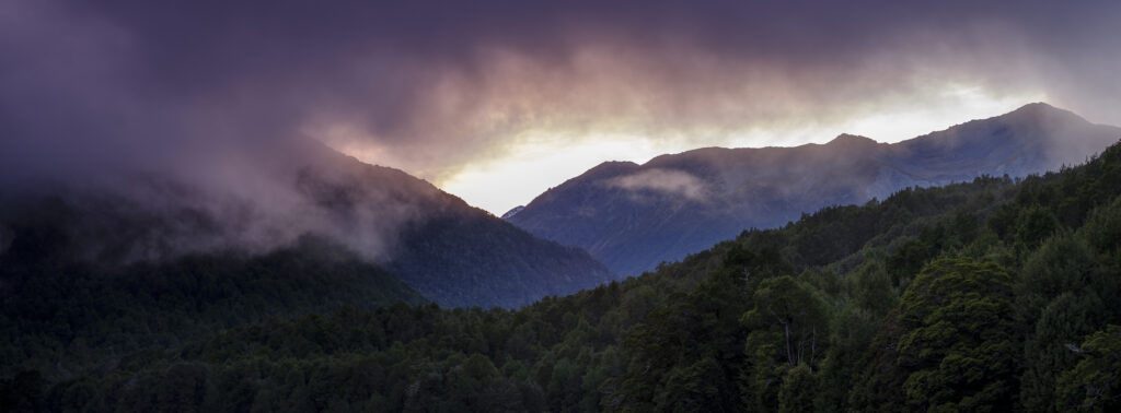 New Zealand, South Island, Fiordland National Park. Clearing mist above native woodland in Eglinton Valley in Fiordland National Park.
