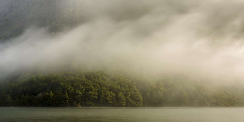 New Zealand, South Island, Fiordland National Park. Clearing mist above native woodland and Lake Gunn in Fiordland National Park.