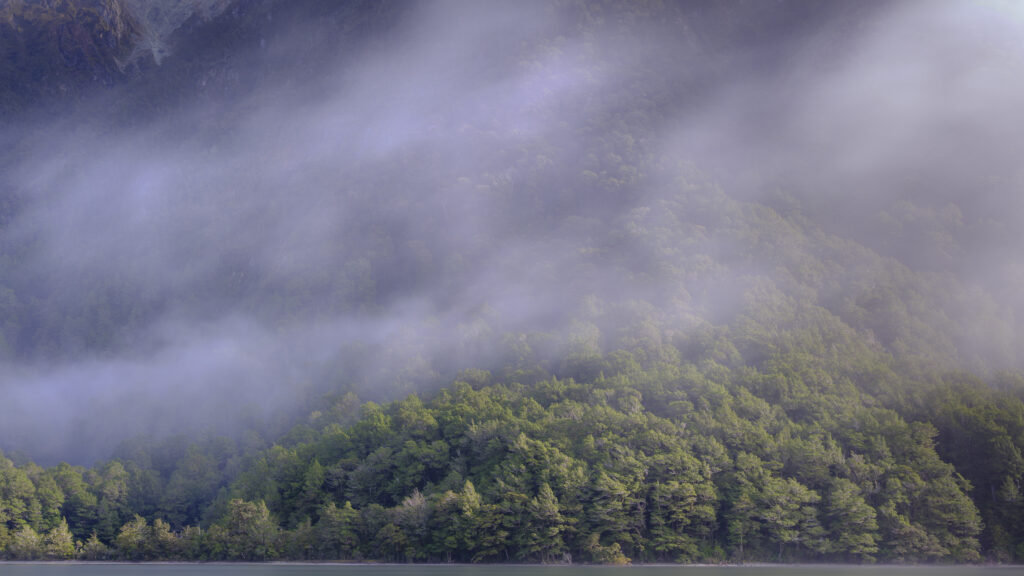 New Zealand, South Island, Fiordland National Park. Clearing mist above native woodland and Lake Gunn in Fiordland National Park.