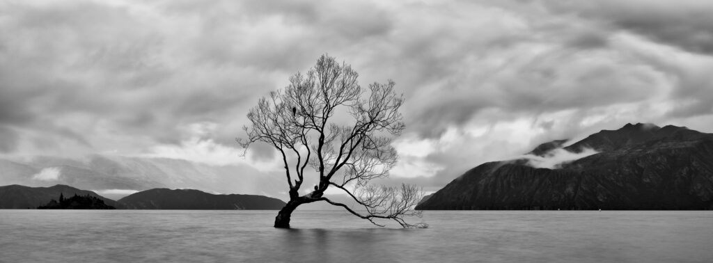 New Zealand, Otago, Lake Wanaka. Clearing storm at the Wanaka Tree on Lake Wanaka.