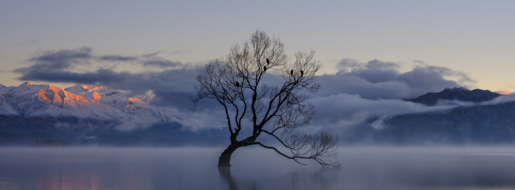 New Zealand, Otago, Lake Wanaka. Mist rising at dawn on an autumn morning at the Wanaka Tree at Lake Wanaka.