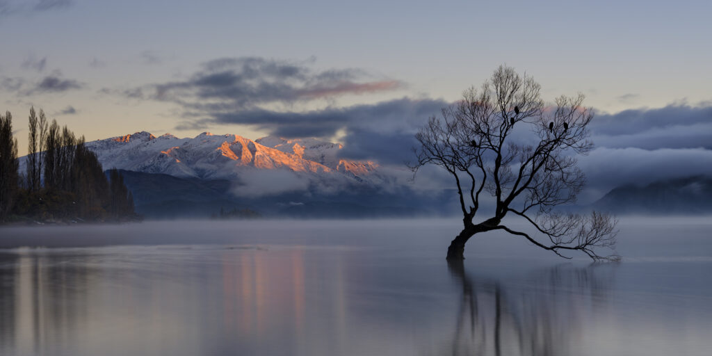 New Zealand, Otago, Lake Wanaka. Mist rising at dawn on an autumn morning at the Wanaka Tree at Lake Wanaka.