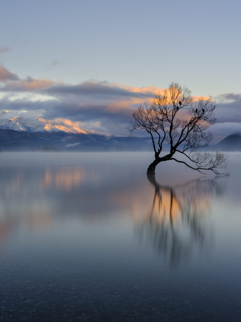 New Zealand, Otago, Lake Wanaka. Mist rising at dawn on an autumn morning at the Wanaka Tree at Lake Wanaka.